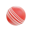 Cricket Ball Icon